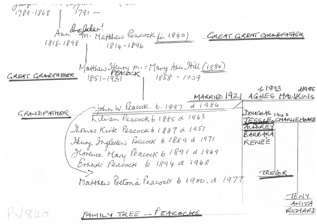 Peacock''s Family Tree