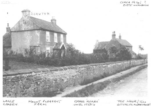 View down common lane