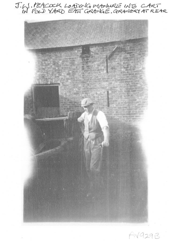 J.W Peacock