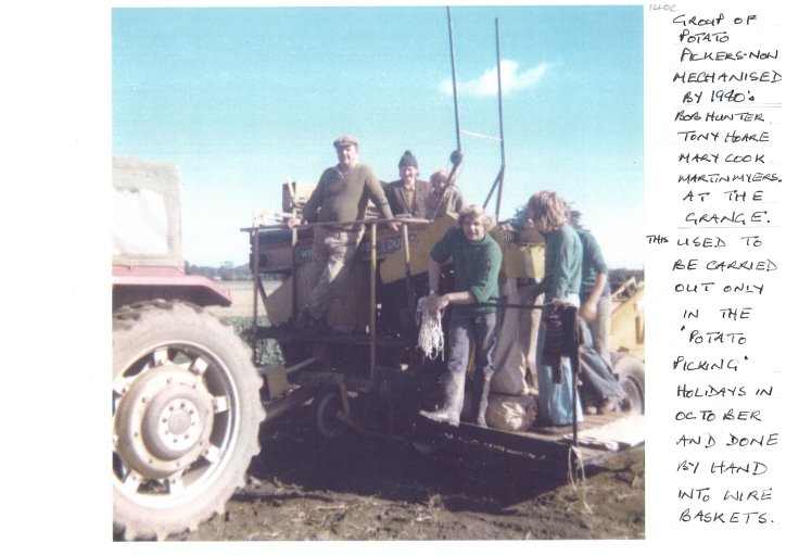 Group of potato pickers