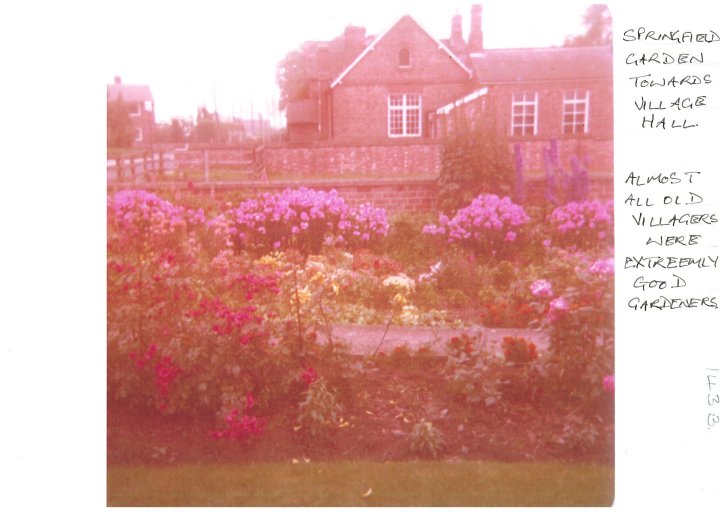 Springfield garden looking towards the village hall