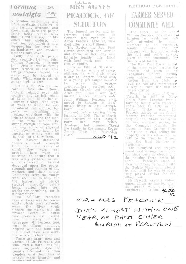 Newspaper article - The death of Agnes Peacock