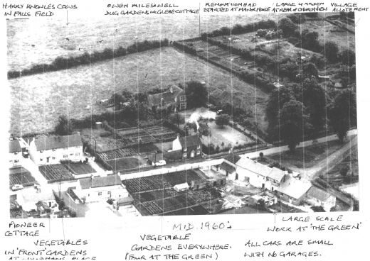 Aerial View of East End